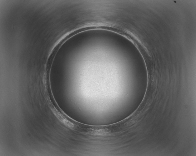 X0000084041460200702232312
