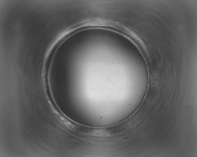 X0000084041464200702232312