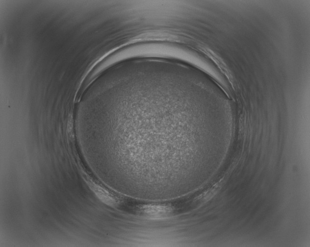X0000084041465200702232312