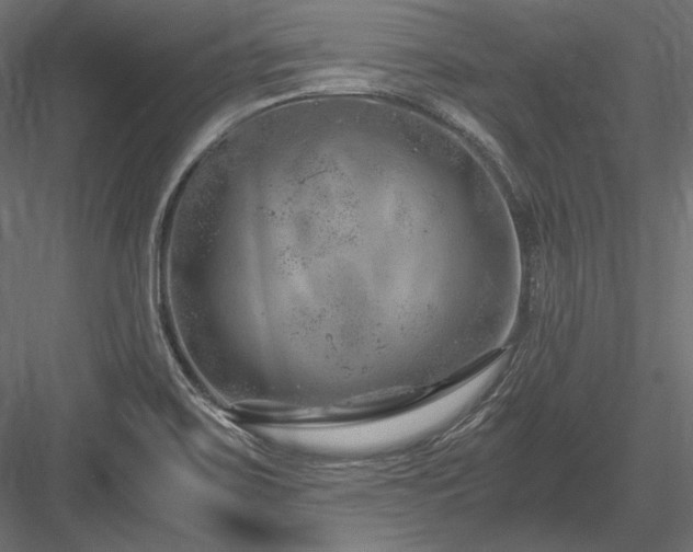 X0000084041467200702232312