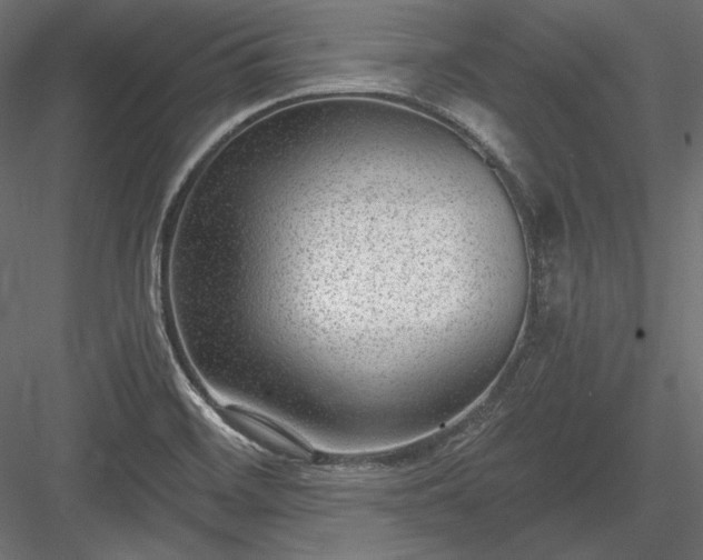 X0000084041468200702232312