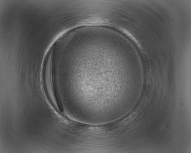 X0000084041469200702232312