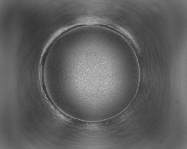 X0000084041472200702232312