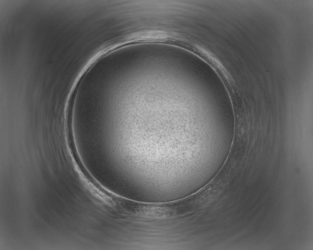 X0000084041475200702232312
