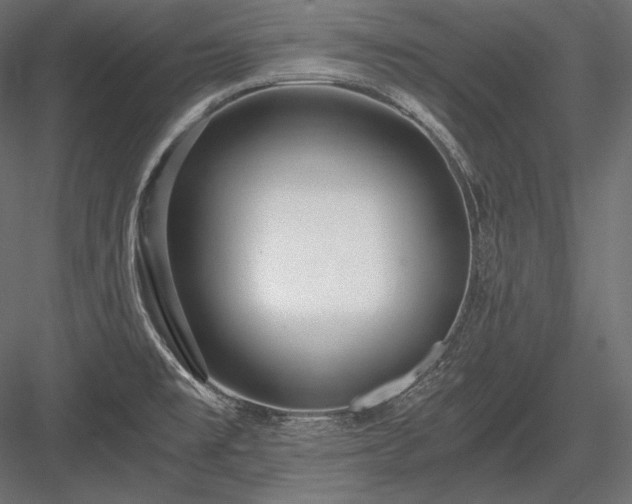 X0000084041477200702232311