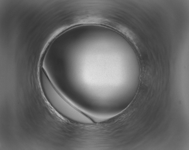 X0000084041480200702232311