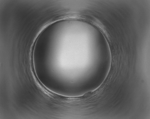 X0000084041483200702232311