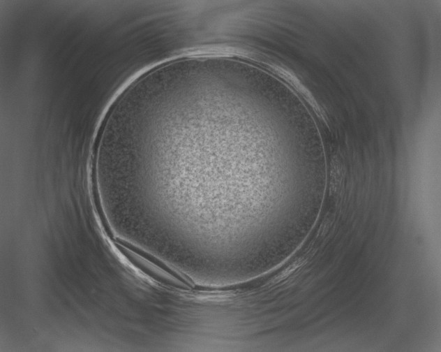 X0000084041484200702232311