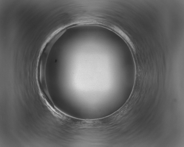 X0000084041485200702232311