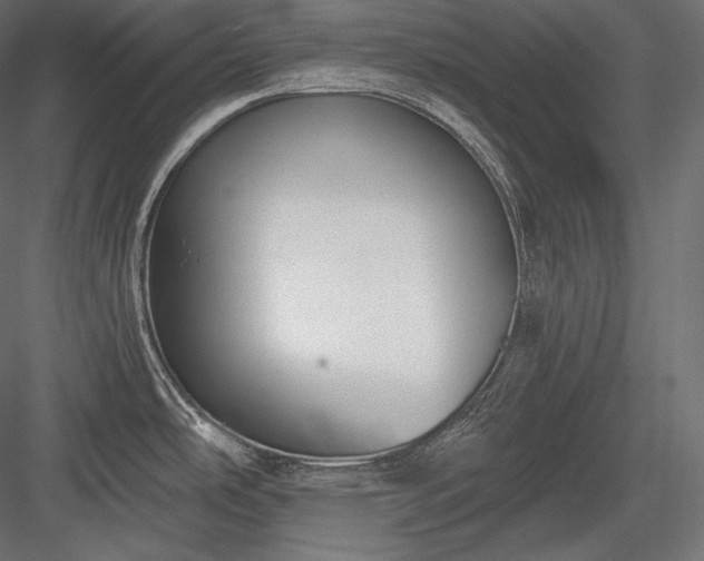 X0000084041486200702232311