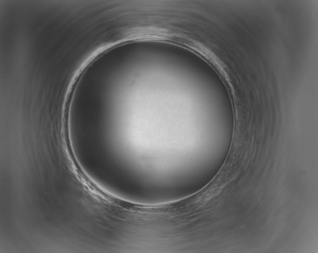 X0000084041488200702232311