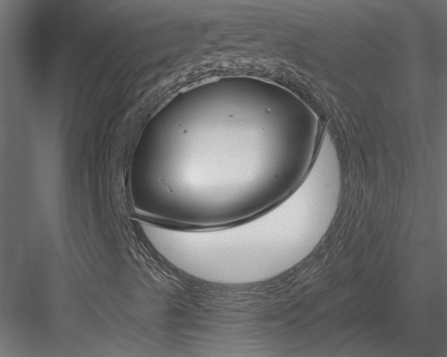 X0000084041489200702232310