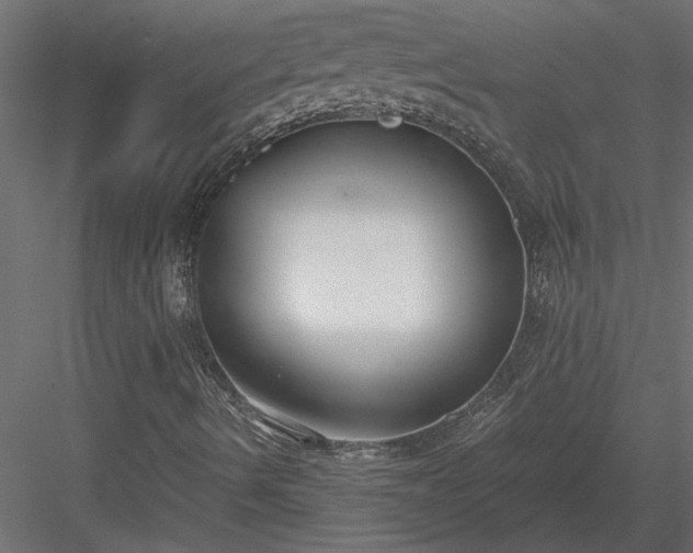 X0000084041490200702232311