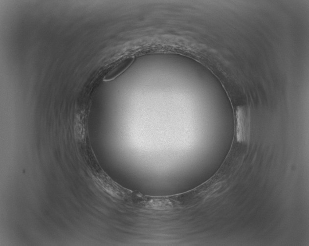 X0000084041491200702232311