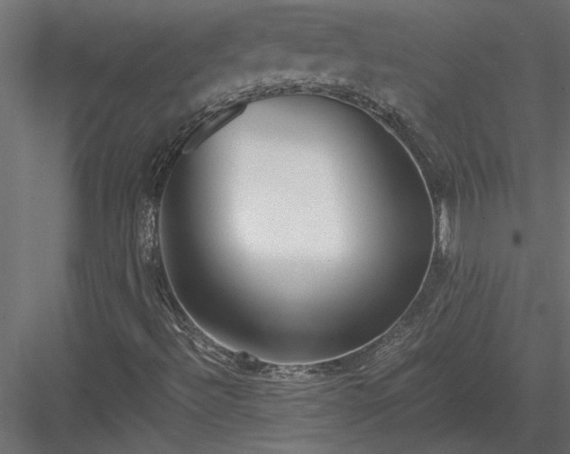 X0000084041492200702232311