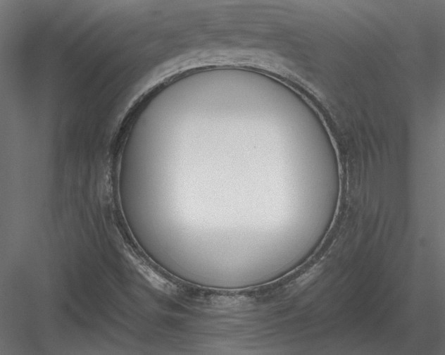 X0000084041498200702232311