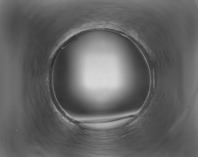 X0000084041500200702232311
