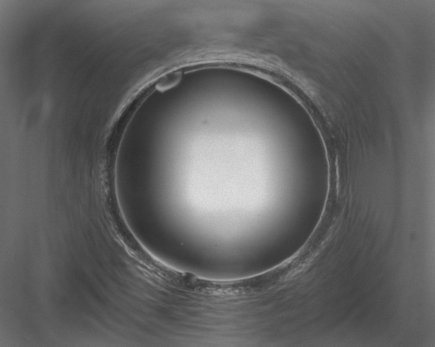 X0000084041501200702232311