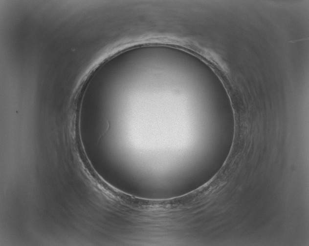 X0000084041504200702232311