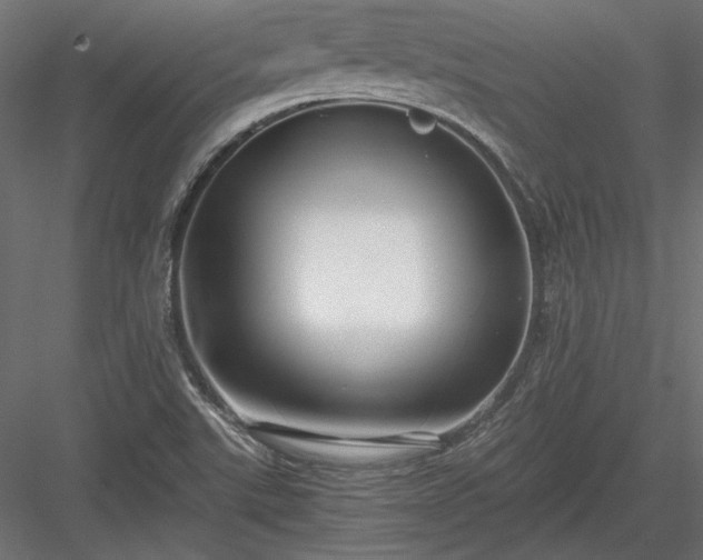 X0000084041507200702232311
