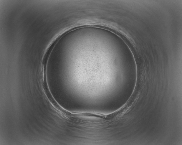 X0000084041509200702232311