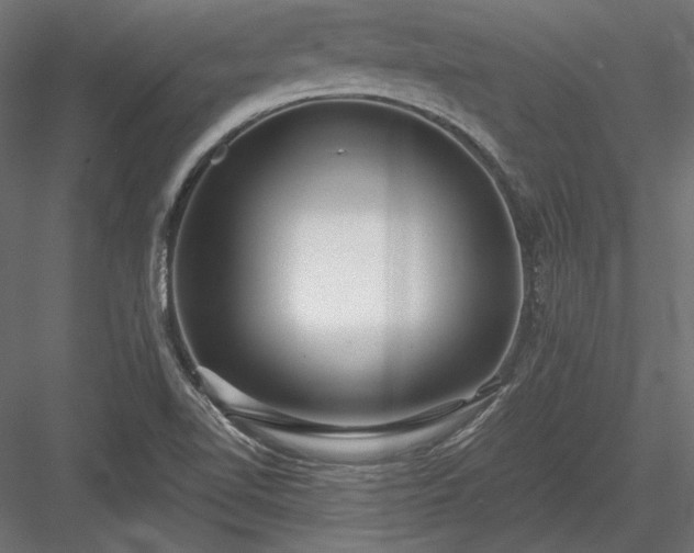 X0000084041510200702232311