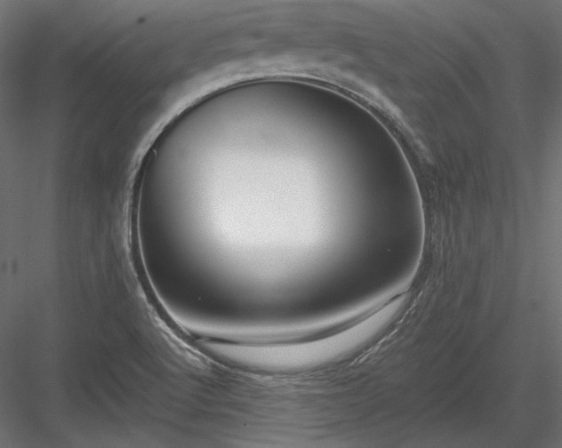 X0000084041512200702232311