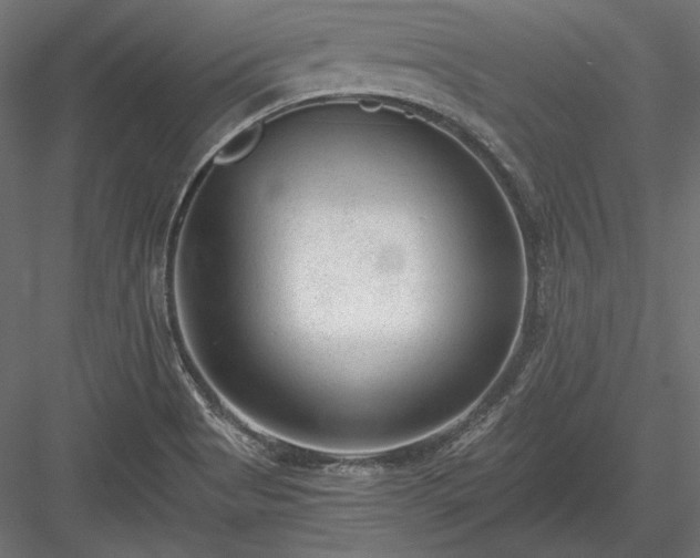X0000084041513200702232311