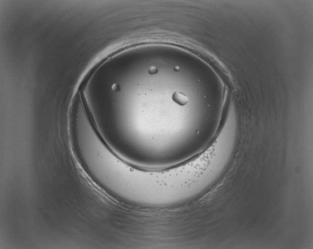 X0000084041514200702232311