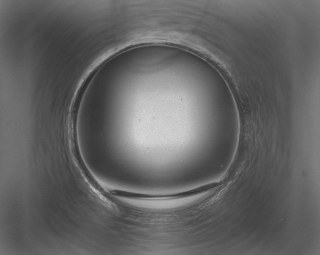 X0000084041517200702232311