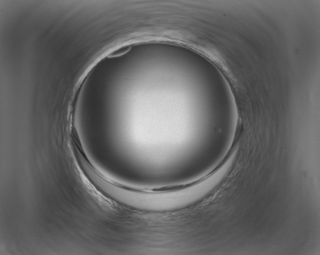 X0000084041524200702232311