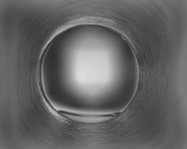 X0000084041531200702232311