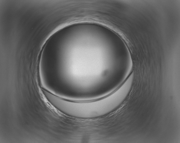 X0000084041534200702232311