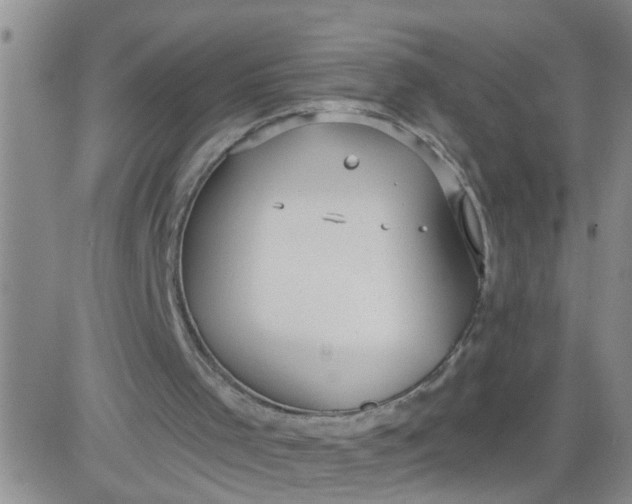 X0000084040001200703022201