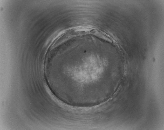 X0000084040002200703022201