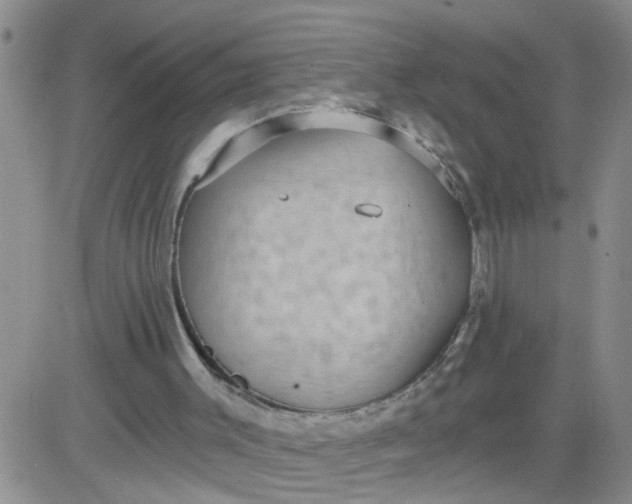 X0000084040003200703022201