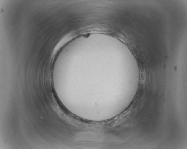 X0000084040004200703022201