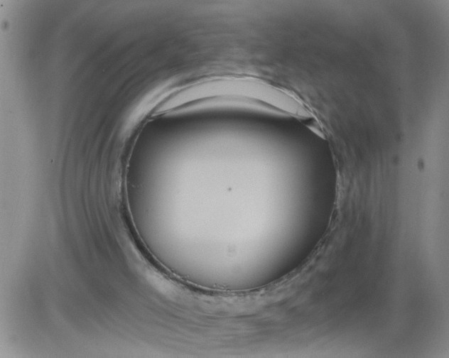 X0000084040005200703022201