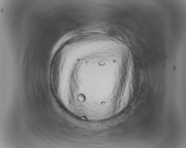 X0000084040006200703022201