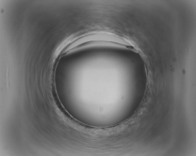 X0000084040007200703022201