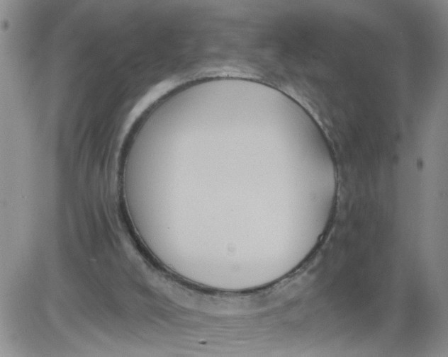 X0000084040008200703022201