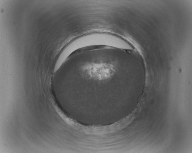 X0000084040009200703022201