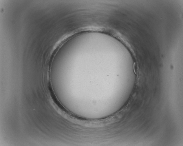 X0000084040011200703022201