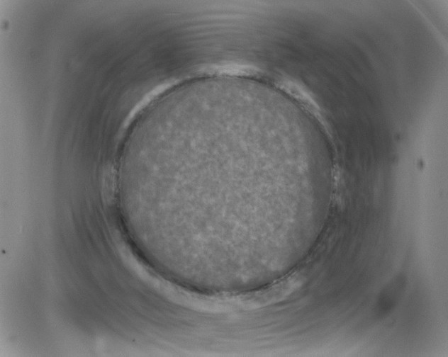 X0000084040012200703022201