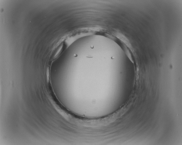 X0000084040013200703022201