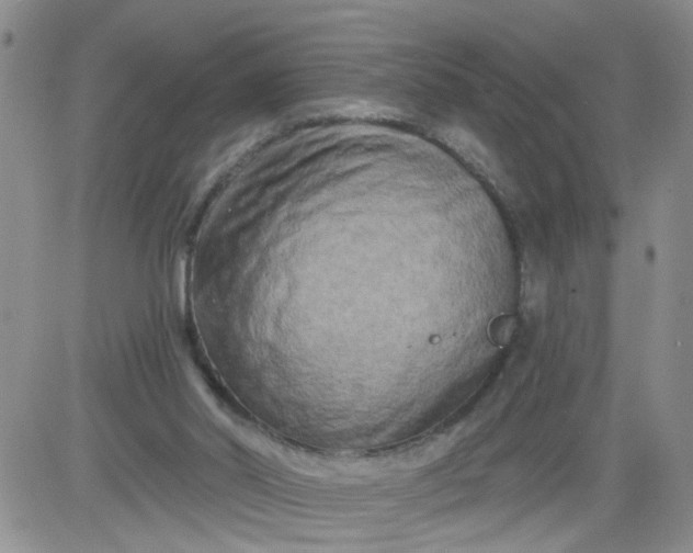 X0000084040014200703022201