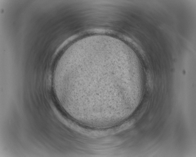 X0000084040016200703022200