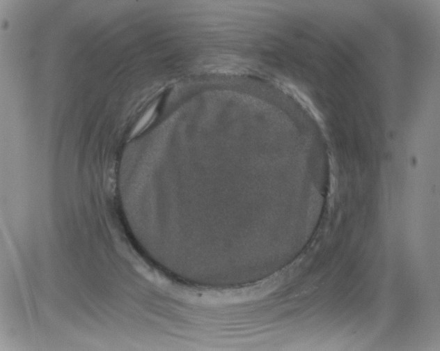 X0000084040017200703022200