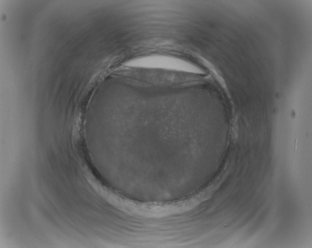 X0000084040018200703022200