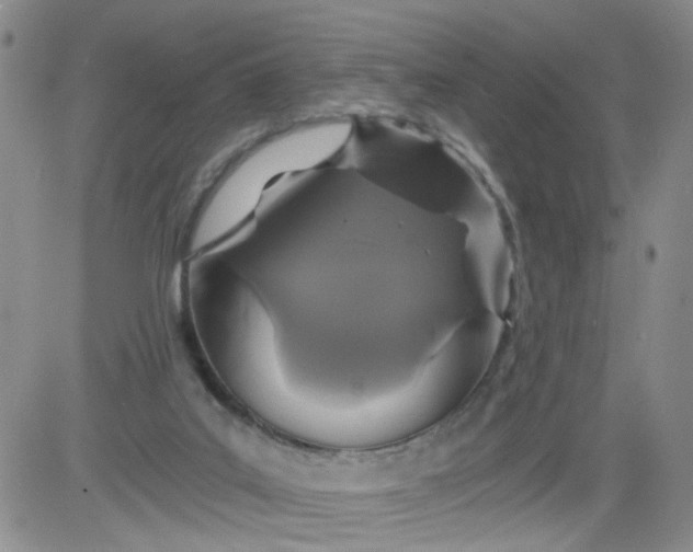 X0000084040019200703022200